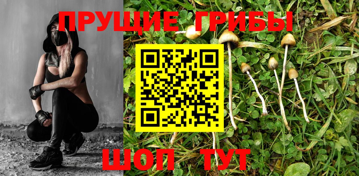Псилоцибиновые грибы Magic Shrooms Елец