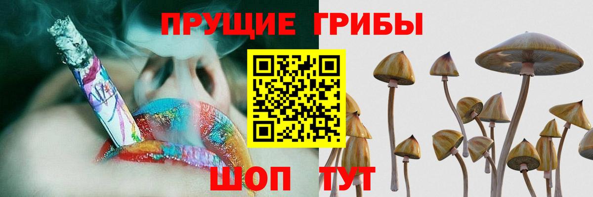 Елец  Галлюциногенные грибы мухоморы  Вход с VPN  Галлюциногенные грибы прущие грибы 